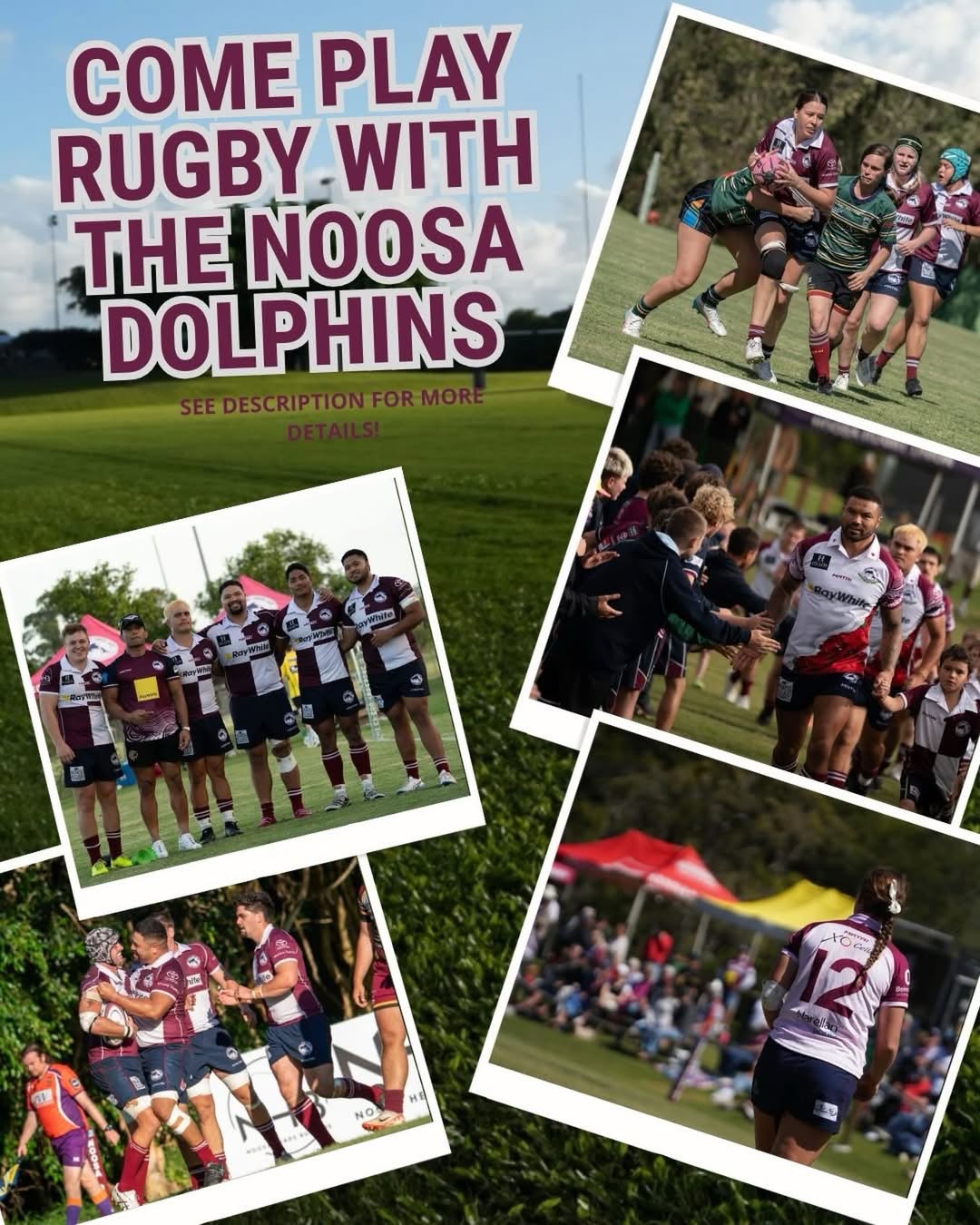 COME PLAY RUGBY WITH THE NOOSA DOLPHINS